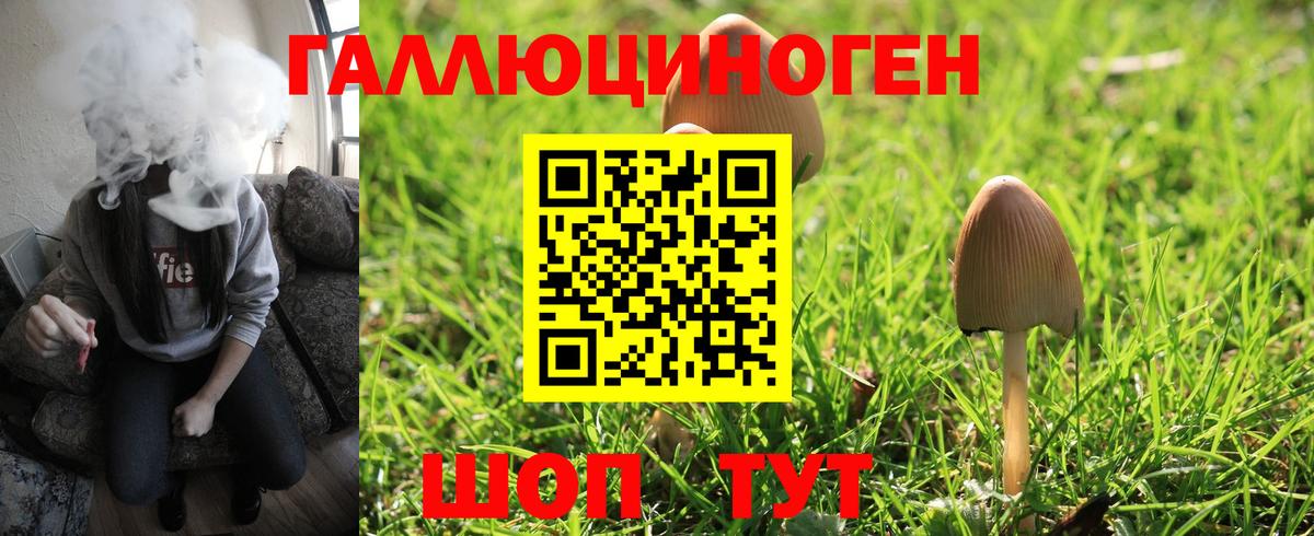 Псилоцибиновые грибы Cubensis Благовещенск