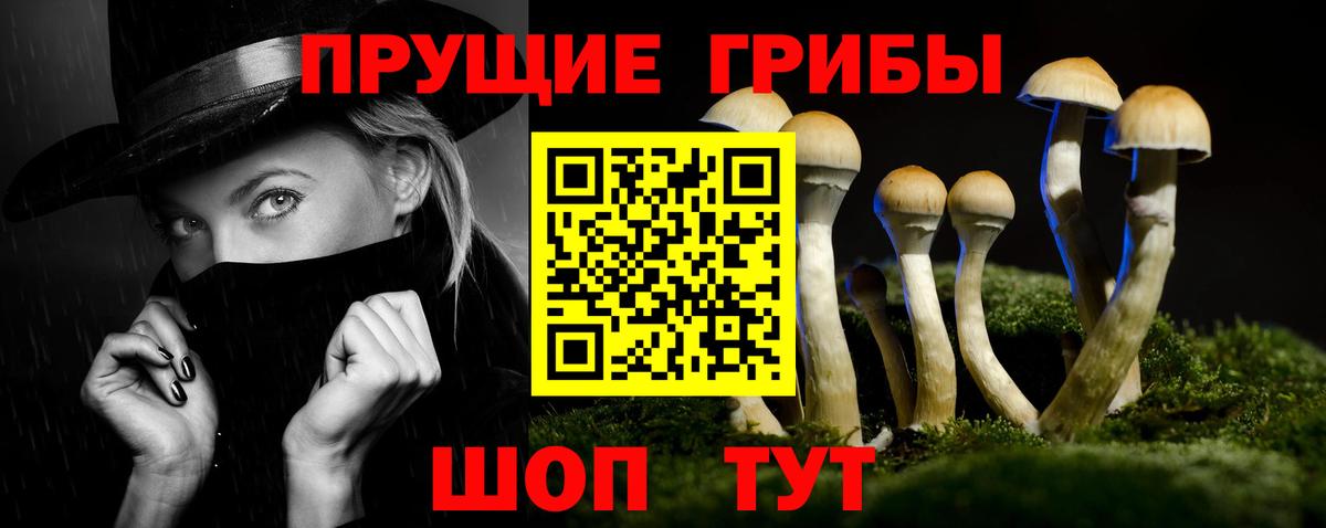 Псилоцибиновые грибы Cubensis  что такое   Благовещенск  Вход с VPN  Псилоцибиновые грибы GOLDEN TEACHER 